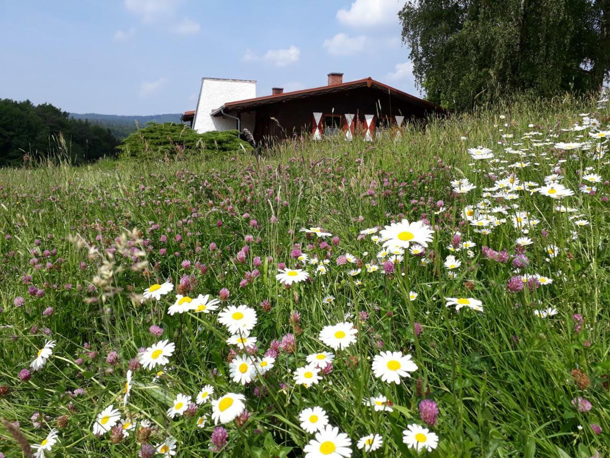 Willa Ellernhof Im Spessart Stadtprozelten Zewnętrze zdjęcie