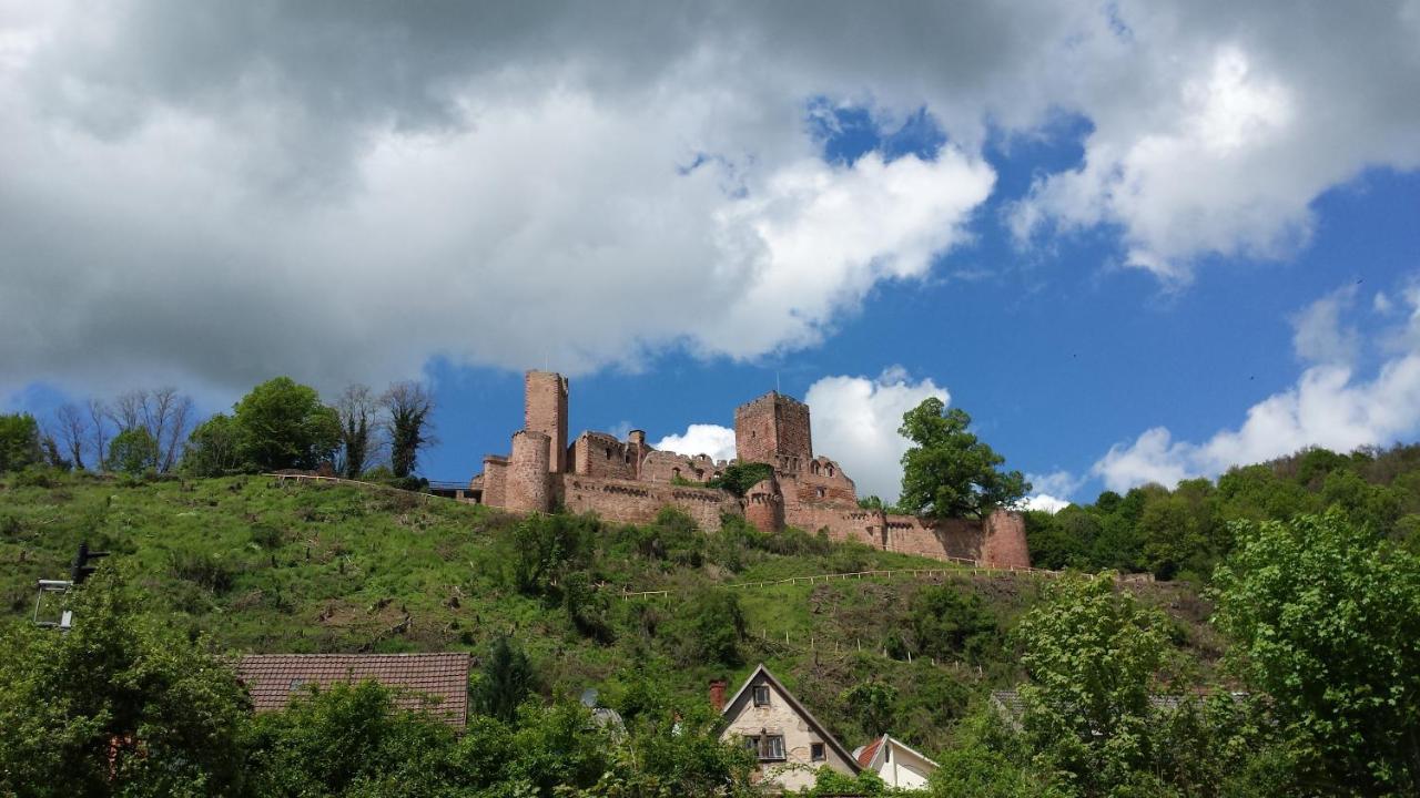 Willa Ellernhof Im Spessart Stadtprozelten Pokój zdjęcie