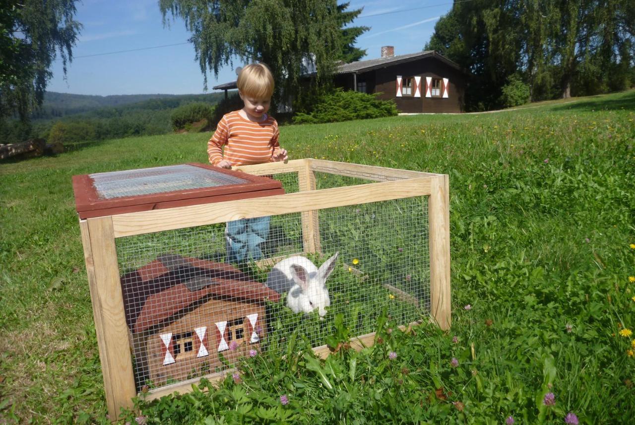 Willa Ellernhof Im Spessart Stadtprozelten Pokój zdjęcie